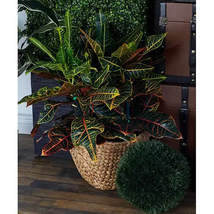 Outlet Dutch Woven Seagrass Baskets, Set of 4 Baskets & Boxes