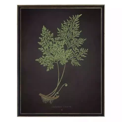 Kirklands Home Framed Art|Fern Bookplate VII Framed Art Print