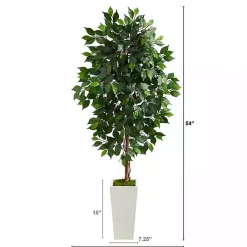 Best Ficus Tree in Mossy White Tower Planter Trees & Topiaries
