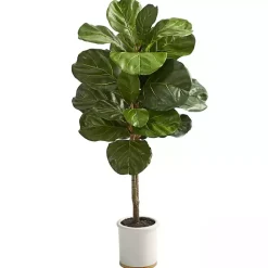 Best Fiddle Leaf Fig in White Ceramic Planter, 42 in. Trees & Topiaries