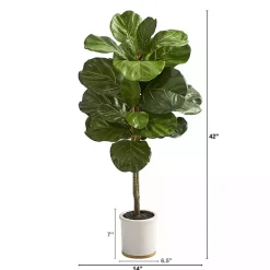Best Fiddle Leaf Fig in White Ceramic Planter, 42 in. Trees & Topiaries