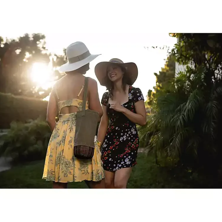 Kirklands Home Barware|Florida Gators Insulated Wine Bottle Tote