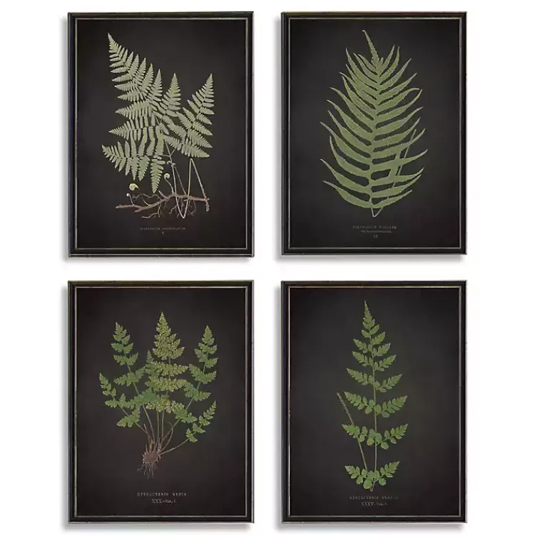 Kirklands Home Framed Art|Four Ferns Framed Art Prints, Set of 4