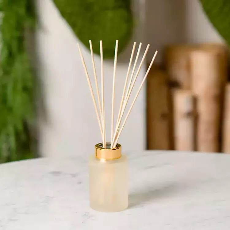 Outlet Fresh Fallen Snow Diffuser Set Home Fragrance