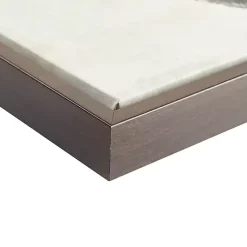 Kirklands Home Framed Art|Gilded Feathers Canvas Art Prints, Set of 2