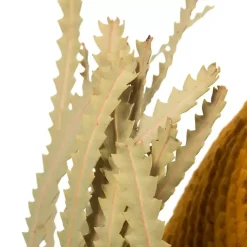 Online Dried Jumbo Banksia Stems, Set of 3 Stems & Bouquets