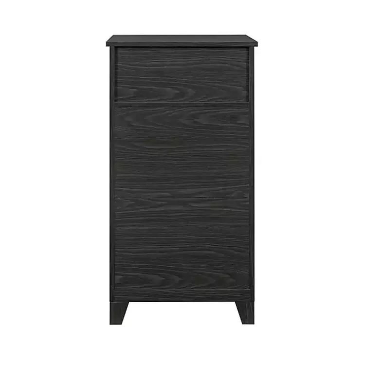 Kirklands Home Cabinets & Sideboards|Graphite Double Door Reeves Cabinet Black