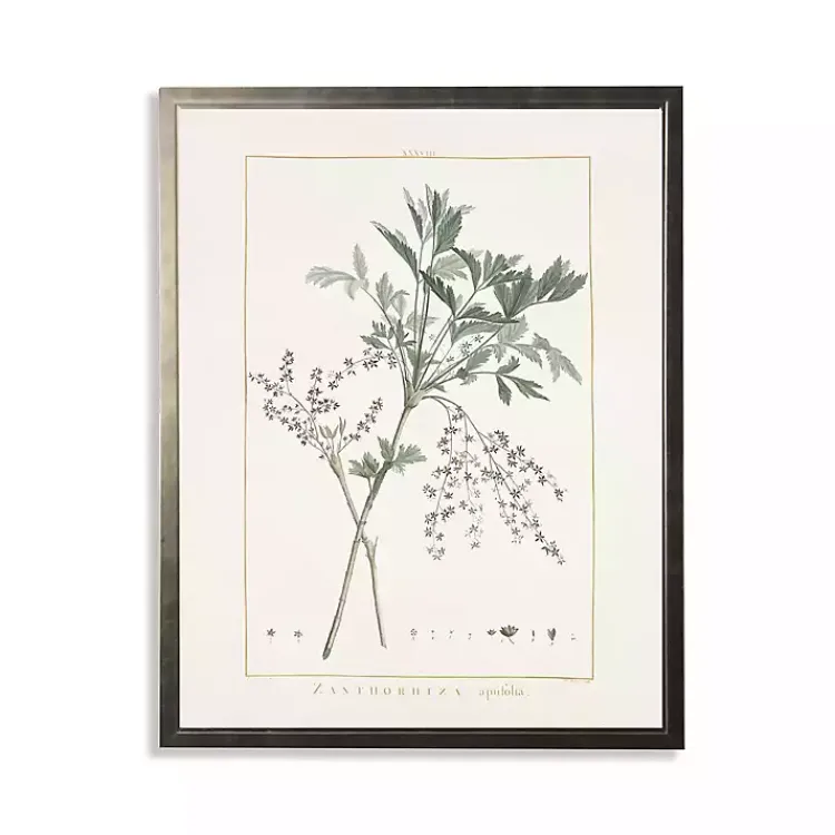 Kirklands Home Framed Art|Greenery Botanical IV Pewter Framed Art Print Ivory
