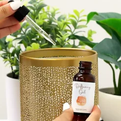 Clearance Hotel 2-Pack Essential Oil Home Fragrance