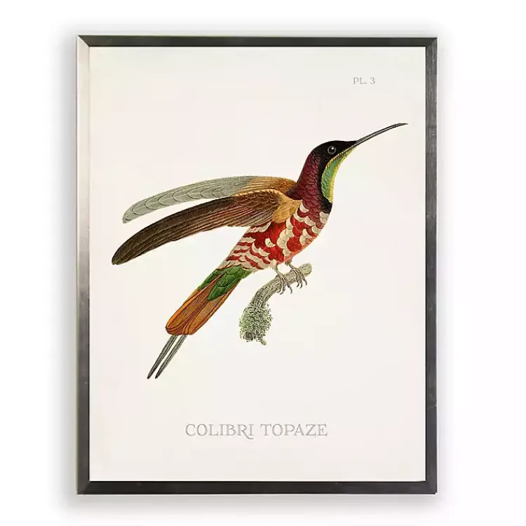 Kirklands Home Framed Art|Hummingbird I Framed Art Print Multi