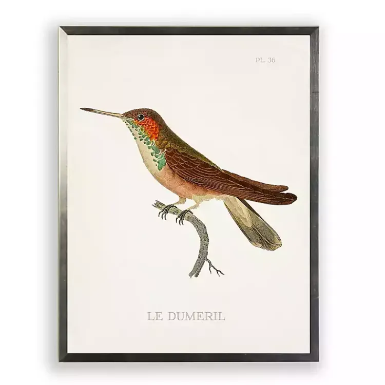 Kirklands Home Framed Art|Hummingbird II Framed Art Print Multi