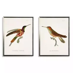 Kirklands Home Framed Art|Hummingbirds I Framed Art Prints, Set of 2 Multi