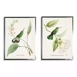 Kirklands Home Framed Art|Hummingbirds on Flowers 2-pc. Framed Art Print Set