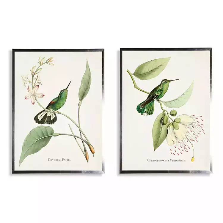 Kirklands Home Framed Art|Hummingbirds on Flowers 2-pc. Framed Art Print Set