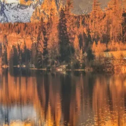 Kirklands Home Framed Art|Identic Image Framed Tempered Glass Print