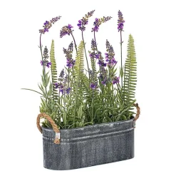 Sale Lavender and Fern Arrangement in Iron Pot, 16 in. Arrangements & Greenery