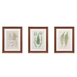 Kirklands Home Framed Art|Martha Stewart Lady Fern Framed Art Print Set