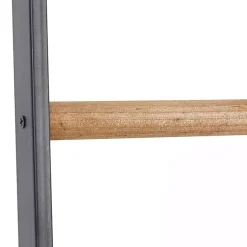Hot Metal and Fir Wood Leaning Ladder with Hooks Decorative Accents