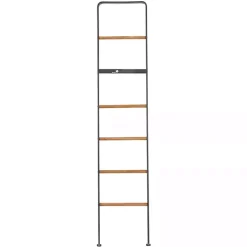 Hot Metal and Fir Wood Leaning Ladder with Hooks Decorative Accents