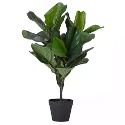 Best Mini Fiddle Leaf Fig Tree in Black Pot Trees & Topiaries