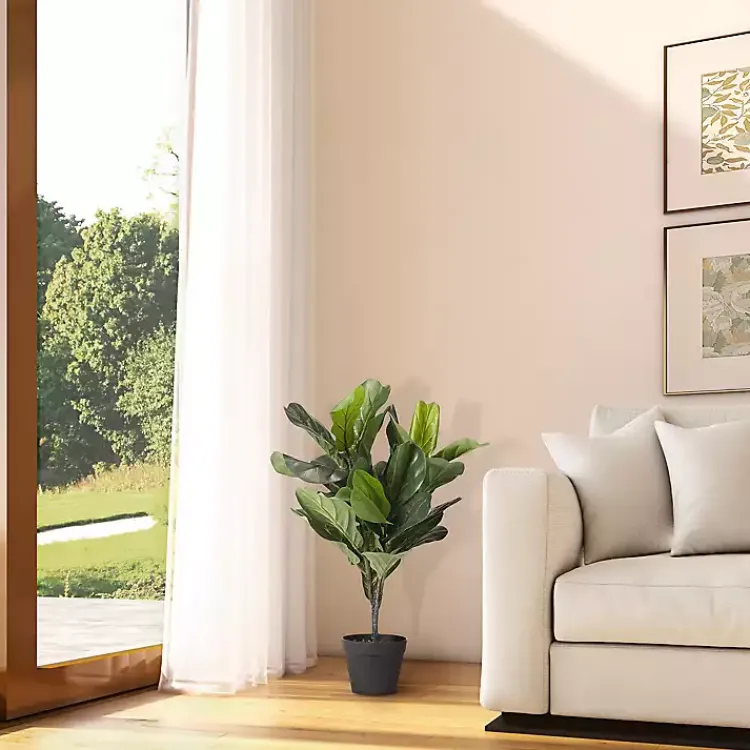 Best Mini Fiddle Leaf Fig Tree in Black Pot Trees & Topiaries