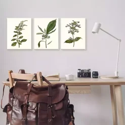 Kirklands Home Framed Art|Minimal Soft Flowers Framed Art Prints, Set of 3