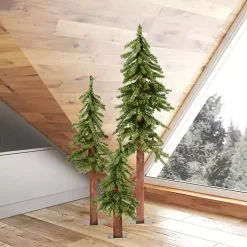 Outlet Natural Alpine Christmas Trees, Set of 3 Christmas Trees