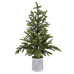 Online Norway Spruce Potted Christmas Tree Christmas Arrangements & Garland