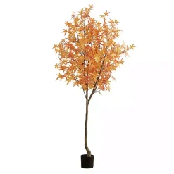 Best Maple Tree in Black Planter, 7 ft. Trees & Topiaries