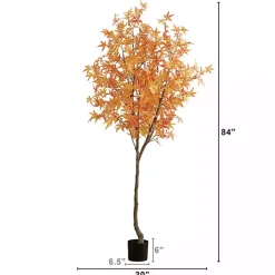 Best Maple Tree in Black Planter, 7 ft. Trees & Topiaries