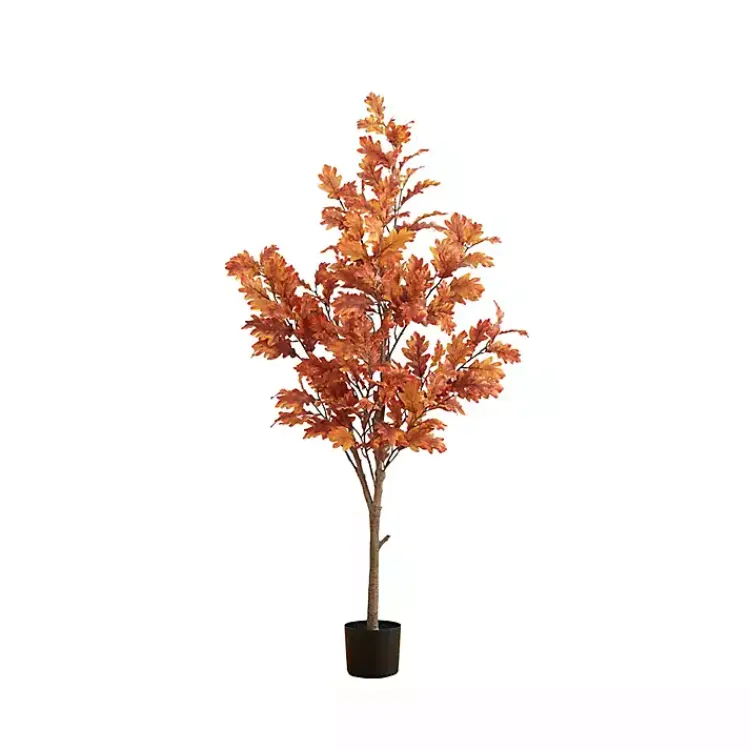 Best Orange Oak Tree in Black Planter, 5 ft. Trees & Topiaries