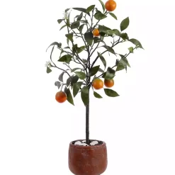 Best Orange Tree in White Pot Trees & Topiaries