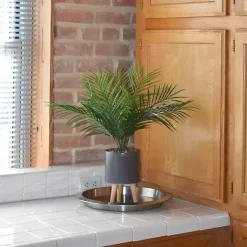 Discount Palm Arrangement in Gray Footed Pot Arrangements & Greenery