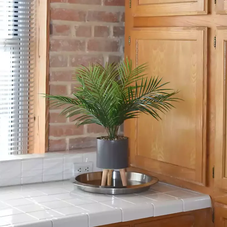 Discount Palm Arrangement in Gray Footed Pot Arrangements & Greenery
