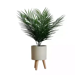 Best Palm Arrangement in Tan Footed Pot Arrangements & Greenery