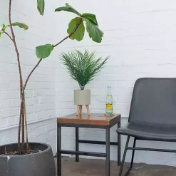 Best Palm Arrangement in Tan Footed Pot Arrangements & Greenery