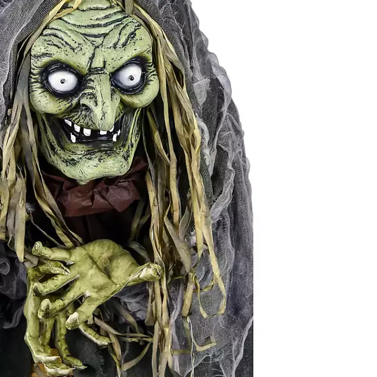 Sale Pre-Lit Animated Shrouded Witch Outdoor Decoration Halloween