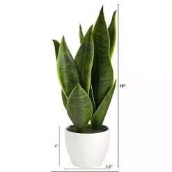 Sansevieria Arrangement in White Planter Arrangements & Greenery