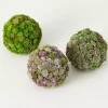 New Sedum Succulent Orbs, Set of 3 Bowl Filler