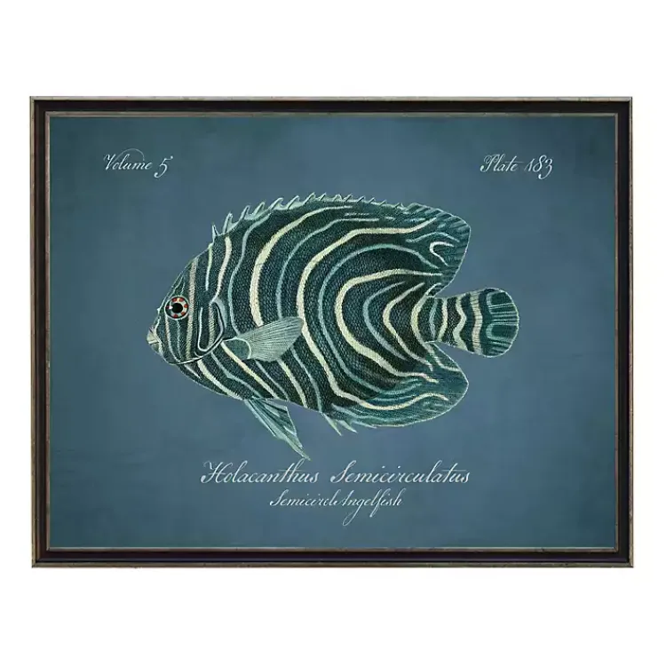 Kirklands Home Framed Art|Semicircle Angelfish Framed Wall Art Blue