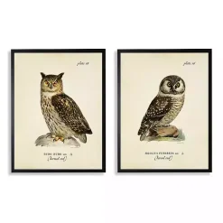 Kirklands Home Framed Art|Sitting Owls Black Framed Art Prints, Set of 2 Brown