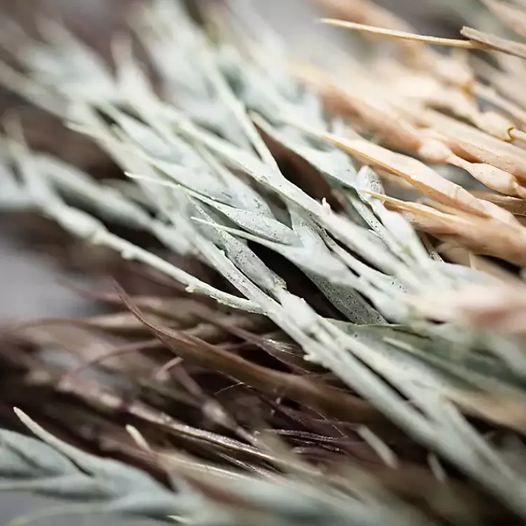 Soft Hues Wheat Sprays, Set of 3 Stems & Bouquets