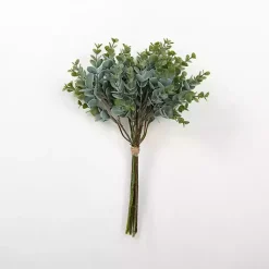 Best Spiral Eucalyptus Bundle Stems & Bouquets