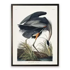 Kirklands Home Framed Art|Vintage Blue Heron Bookplate Framed Art Print
