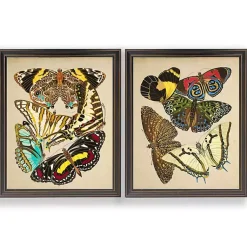 Kirklands Home Framed Art|Vintage Butterflies I Framed Art Prints, Set of 2 Multi
