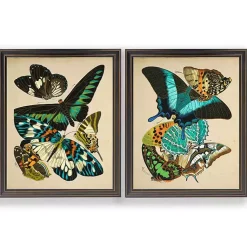 Kirklands Home Framed Art|Vintage Butterflies II Framed Art Prints, Set of 2 Multi