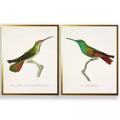 Kirklands Home Framed Art|Vintage Hummingbird I 2-pc. Framed Art Print Set