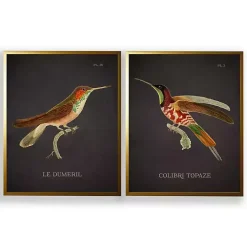 Kirklands Home Framed Art|Vintage Hummingbird III 2-pc. Framed Art Print Set