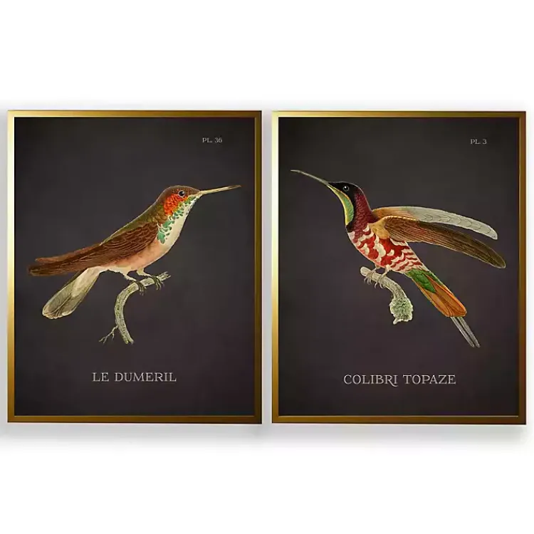 Kirklands Home Framed Art|Vintage Hummingbird III 2-pc. Framed Art Print Set