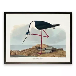 Kirklands Home Framed Art|Vintage Long Legged Avocet Framed Art Print